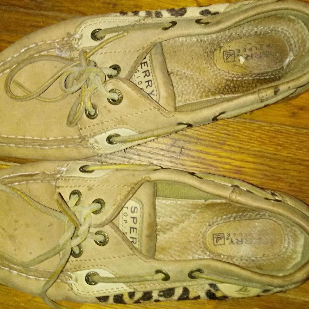 Sperry shoes